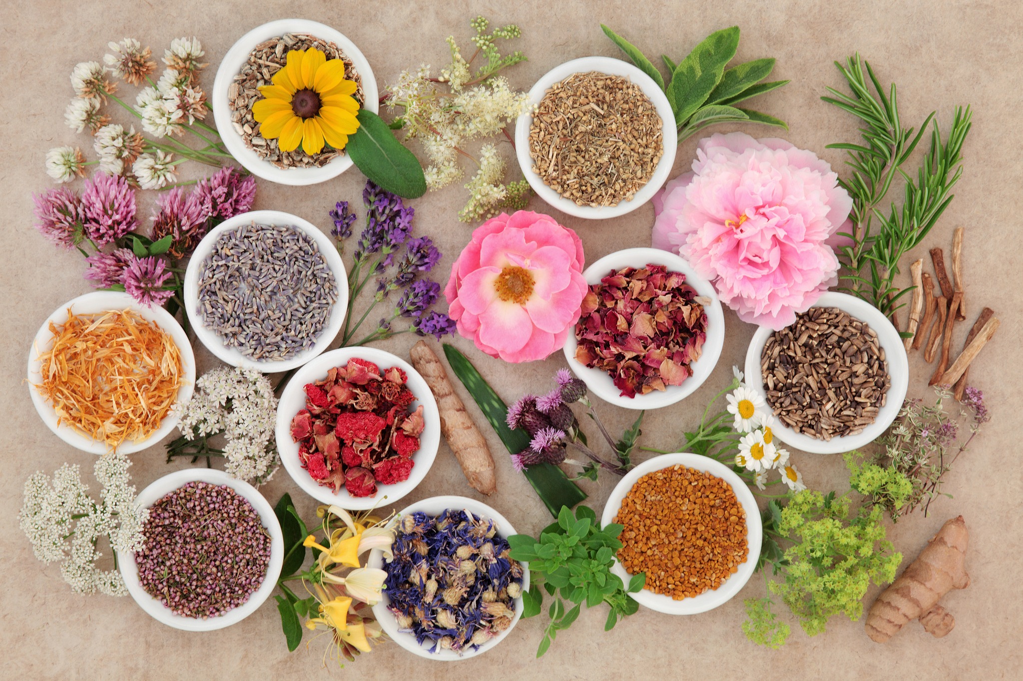 Chinese herbs and flowers