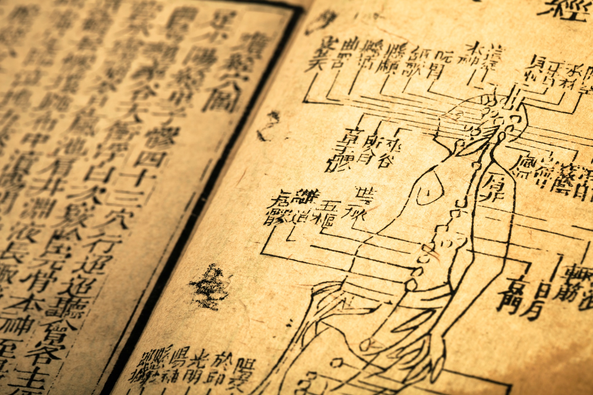 Traditionele Chinese tekst met een afbeelding van acupunctuurpunten
